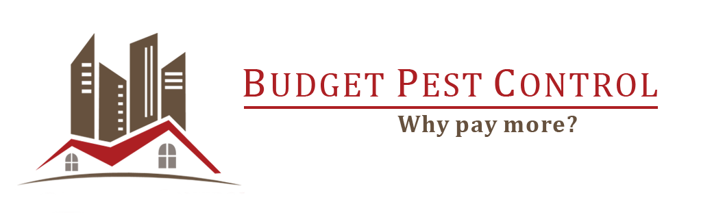Budget Pest Control