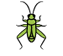 Cricket