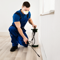 Expert Technician