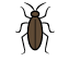 Roaches