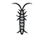 Silverfish