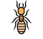 Termite