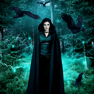 Forbidden Forest Book Cover