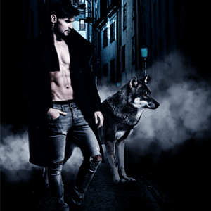 The New Alpha book cover